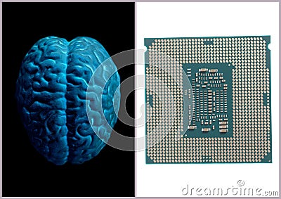 Human brain anatomical model with CPU processor microchip Stock Photo