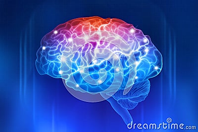 Human brain on a blue background. Active parts of the brain Cartoon Illustration