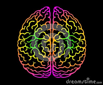 Human Brain. Bright Colors Black Background. Cerebral Hemispheres, Convolutions Of The Mind, Brain`s Bends. View From Above Vector Illustration