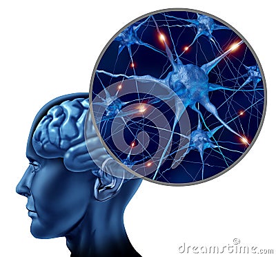 Human brain with close up of active neurons Stock Photo