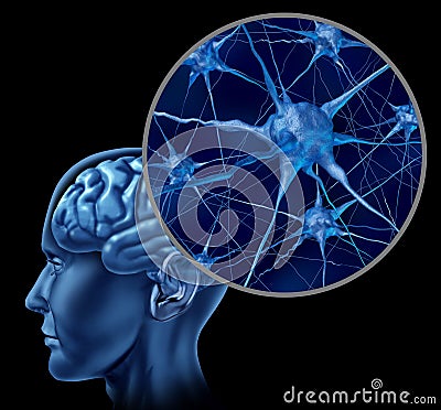 Human brain with close up of active neurons Stock Photo