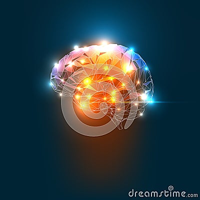 Human Brain Vector Illustration