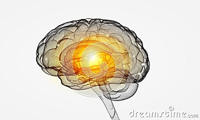 Human brain Stock Photo