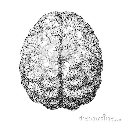 Human brain consist of dots connected by lines in top view Vector Illustration