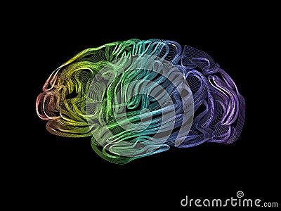 Human brain Vector Illustration