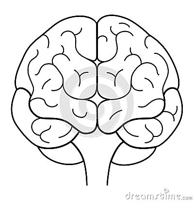 Human brain front view. Line illustration Cartoon Illustration