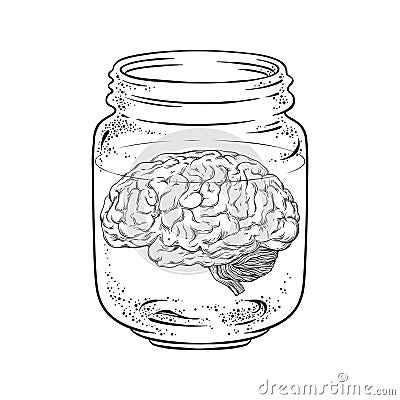 Human brain in glass jar . Sticker, print or blackwork tattoo design hand drawn vector illustration Vector Illustration