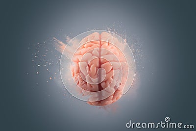 Human brain on a gray background Stock Photo