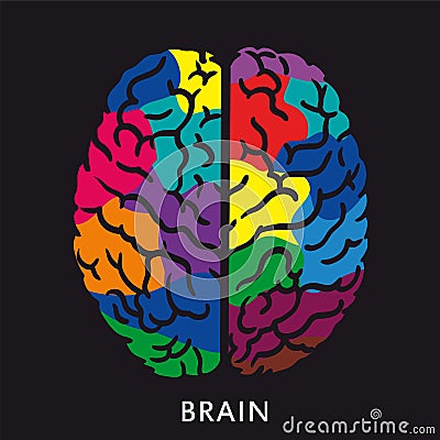 Human brain icon Vector Illustration