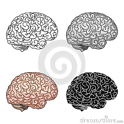 Human brain icon in cartoon style isolated on white background. Human organs symbol stock vector illustration. Vector Illustration