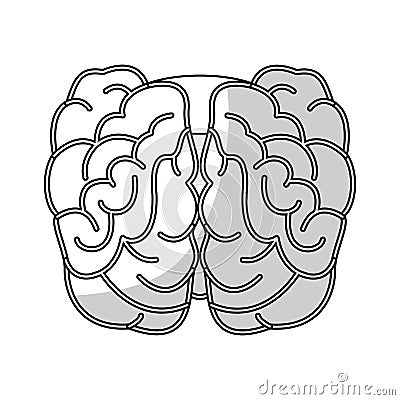 Human brain icon Vector Illustration