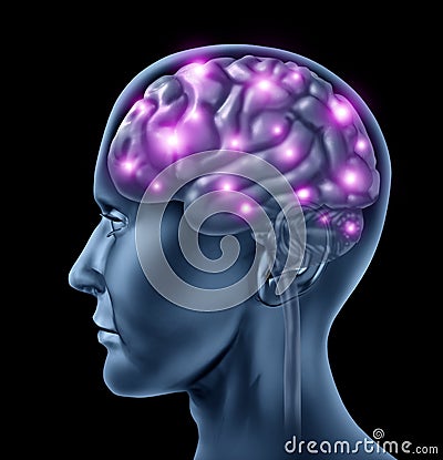 Human Brain Intelligence Stock Photo