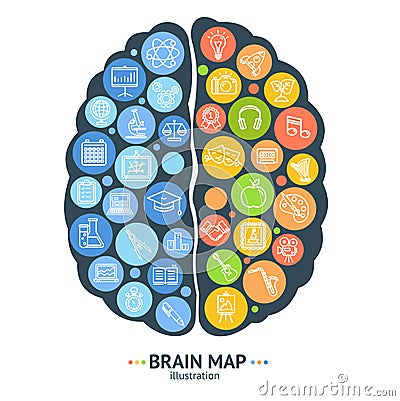 Human Brain Map Concept Left and Right Hemisphere. Vector Vector Illustration