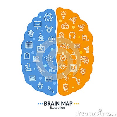 Human Brain Map Concept Left and Right Hemisphere. Vector Vector Illustration