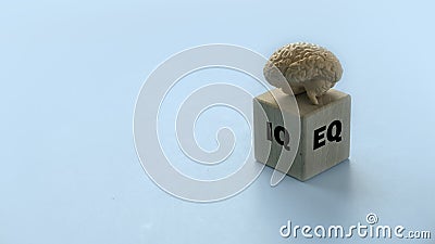 Human brain model over a wooden cube written with EQ and IQ Stock Photo