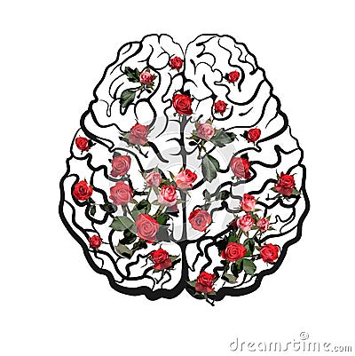 Human brain neocortex scheme top view with pink roses Vector Illustration