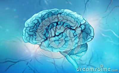 Human brain. Neural communications. Thinking, Intelligence, Mind, Creativity Cartoon Illustration