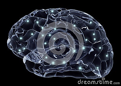 brain neuron brain neuron