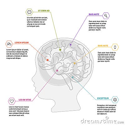 Human brain scheme on white background. Neurological infography Vector Illustration