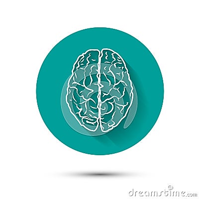 Human brain vector icon flat illustraton with Vector Illustration