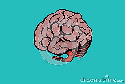 The human brain vector illustration Vector Illustration