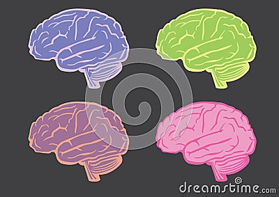 Human Brain Vector Illustration Set Vector Illustration