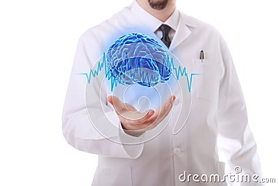 The human brain Stock Photo