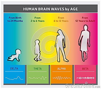 Human Brain Waves by Age Chart Diagram - People Silhouettes - Rainbow Colors - English Language Vector Illustration