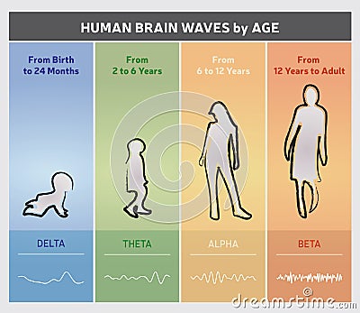 Human Brain Waves by Age Chart Diagram - People Silhouettes Vector Illustration