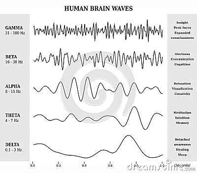 Human Brain Waves Diagram / Chart / Illustration Vector Illustration