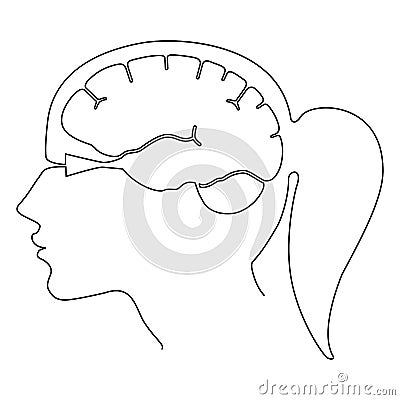 Human brain in woman profile view left. Continuous line drawing. Vector illustration Vector Illustration