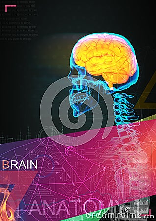 Human brain by x- ray on background Cartoon Illustration