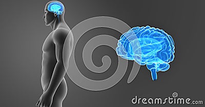 Human Brain zoom with Body Lateral view Stock Photo