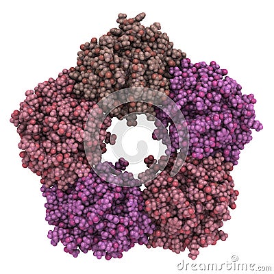 Human C-reactive protein (CRP) Stock Photo