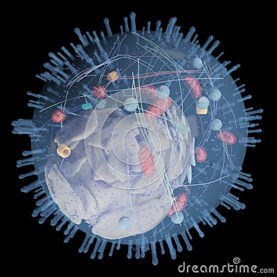 A human cell Cartoon Illustration