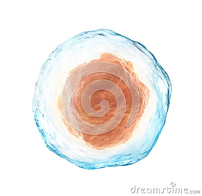 Human cell isolated on a white. Cartoon Illustration