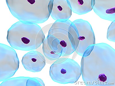 Human cells Stock Photo
