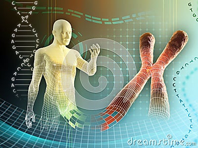 Human chromosome Cartoon Illustration