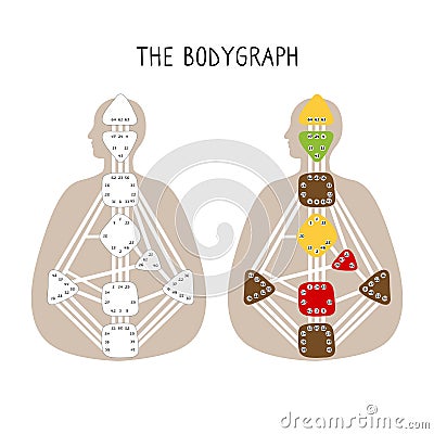 Human Design BodyGraph. Nine colored energy centers Vector Illustration