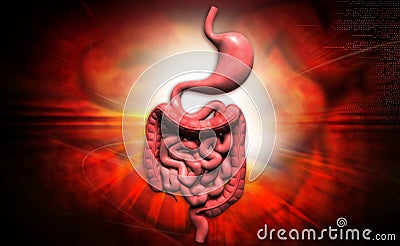 Human digestive system Cartoon Illustration