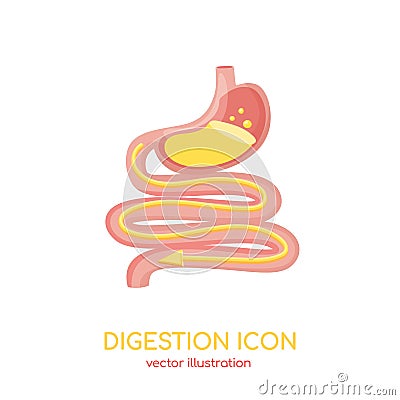 Digestive system. Gastrointestinal tract, stomach, intestine. Vector sign for ad of meds, supplements for good digestion Vector Illustration