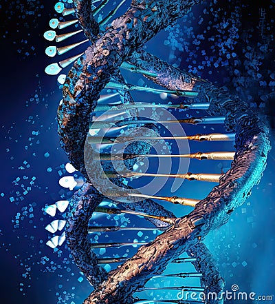 Human DNA structure with blue helix Stock Photo