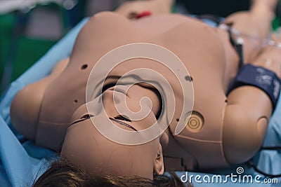 Human dummy as a teaching aid Stock Photo