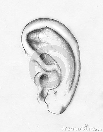 Human ear Stock Photo