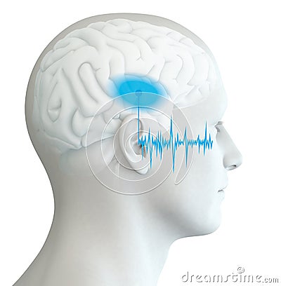Human ear with soundwave and marked auditory cortex, medically 3D illustration Stock Photo