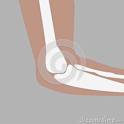 Human elbow joint Vector Illustration