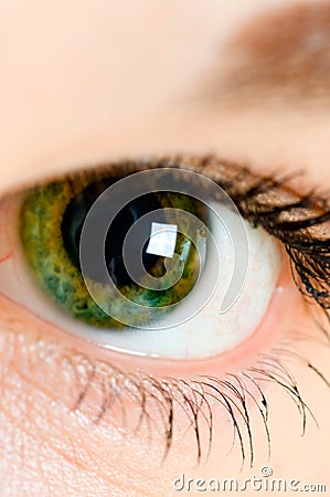 Human Eye Stock Photo