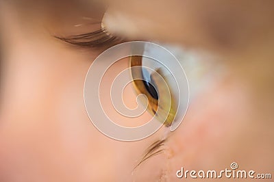 Human eye close up profile brown eyelashes Stock Photo