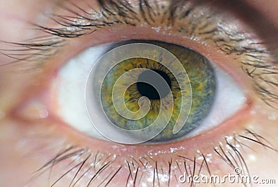 Human eye Stock Photo