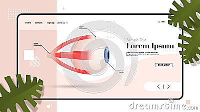 Human eye icon internal organ structure detailed eyeball medical healthcare anatomy biology concept flat copy space Vector Illustration